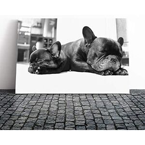 Big Box Art Canvas Print Wall Art Two Black French Bulldogs Dog Mounted and Stretched Box Frame Picture Home Decor for Kitchen, Living, Dining Room, Bedroom, Hallway, Multi-Colour, 30x20 Inch Big Box Art Canvas Print Wall Art Two Black French Bulldogs Dog Mounted and Stretched Box Frame Picture Home Decor for Kitchen, Living, Dining Room, Bedroom, Hallway, Multi-Colour, 30x20 Inch