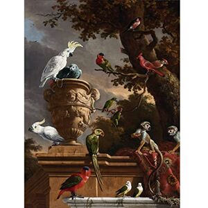 Artery8 Hondecoeter Menagerie Exotic Birds Parrots Painting Large XL Wall Art Canvas Print Artery8 Hondecoeter Menagerie Exotic Birds Parrots Painting Large XL Wall Art Canvas Print