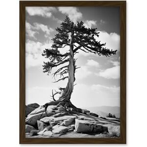 Artery8 Weathered Jeffrey Pine Standing on a Rocky Hill Black and White Photograph Lone Tree Artwork Framed A3 Wall Art Print Artery8 Weathered Jeffrey Pine Standing on a Rocky Hill Black and White Photograph Lone Tree Artwork Framed A3 Wall Art Print