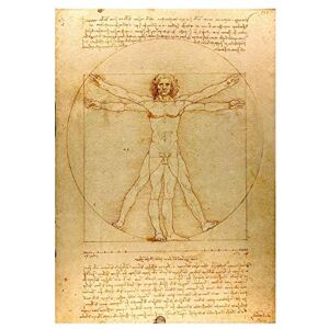 Wee Blue Coo Da Vinci Vitruve Luc Viatour Old Picture Wall Art Print Wee Blue Coo Da Vinci Vitruve Luc Viatour Old Picture Wall Art Print