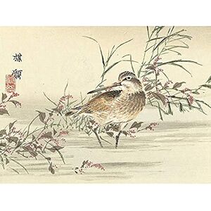 Artery8 Kono Bairei Stream Bird Japanese Woodblock Art Print Canvas Premium Wall Decor Poster Mural Artery8 Kono Bairei Stream Bird Japanese Woodblock Art Print Canvas Premium Wall Decor Poster Mural