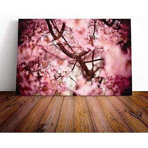 Big Box Art Canvas Print Wall Art Pink Cherry Blossom Tree Flowers (4) Mounted & Stretched Box Frame Picture Home Decor for Kitchen, Living Room, Bedroom, Hallway, Multi-Colour, 20x14 Inch Big Box Art Canvas Print Wall Art Pink Cherry Blossom Tree Flowers (4) Mounted & Stretched Box Frame Picture Home Decor for Kitchen, Living Room, Bedroom, Hallway, Multi-Colour, 20x14 Inch