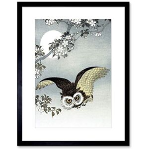 Wee Blue Coo Painting Nature Bird Owl Japan Ohara Koson Framed Wall Art Print Wee Blue Coo Painting Nature Bird Owl Japan Ohara Koson Framed Wall Art Print