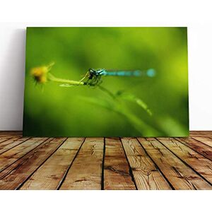 Big Box Art Green Dragonfly Canvas Print Gallery Wrapped 30mm Frame Wall Art 20x14 inches Ready to Hang Modern Animals Picture Living Room Bedroom Lounge Office Big Box Art Green Dragonfly Canvas Print Gallery Wrapped 30mm Frame Wall Art 20x14 inches Ready to Hang Modern Animals Picture Living Room Bedroom Lounge Office