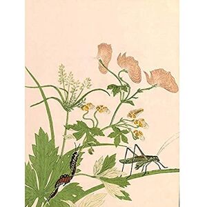 Artery8 Kitagawa Utamaro Katydid Centipede Japanese Painting Unframed Wall Art Print Poster Home Decor Premium Artery8 Kitagawa Utamaro Katydid Centipede Japanese Painting Unframed Wall Art Print Poster Home Decor Premium