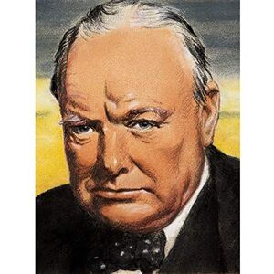 Fine Art Prints Timym Portrait UK Prime Minister Winston Churchill Painting Art Print Canvas Premium Wall Decor Poster Mural Fine Art Prints Timym Portrait UK Prime Minister Winston Churchill Painting Art Print Canvas Premium Wall Decor Poster Mural