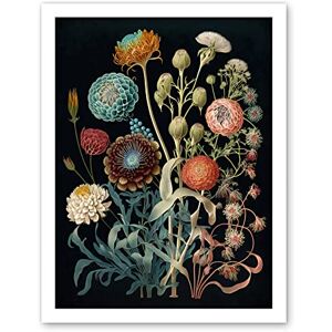 Artery8 Vintage Botanical Ernst Haeckel Style Plant Study Modern Watercolour Painting Illustration Artwork Framed Wall Art Print 18X24 Inch Artery8 Vintage Botanical Ernst Haeckel Style Plant Study Modern Watercolour Painting Illustration Artwork Framed Wall Art Print 18X24 Inch
