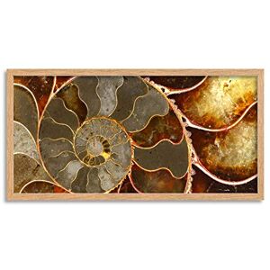 Wee Blue Coo Ammolite Shell Fossil Close Up Long Panel Framed Wall Art Print Wee Blue Coo Ammolite Shell Fossil Close Up Long Panel Framed Wall Art Print