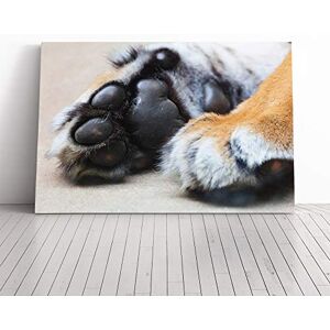 Big Box Art Tiger Paws Canvas Print Gallery Wrapped 30mm Frame Wall Art 24x16 inches Ready to Hang Modern Animals Picture Living Room Bedroom Lounge Office Big Box Art Tiger Paws Canvas Print Gallery Wrapped 30mm Frame Wall Art 24x16 inches Ready to Hang Modern Animals Picture Living Room Bedroom Lounge Office