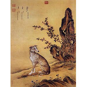 Wee Blue Coo Painting Animal Castiglione Prized Dogs Banjinbiao Greyhound Art Print Poster Wall Decor 12X16 Inch Wee Blue Coo Painting Animal Castiglione Prized Dogs Banjinbiao Greyhound Art Print Poster Wall Decor 12X16 Inch