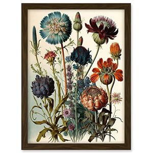 Artery8 Vintage Botanical Illustration Ernst Haeckel Inspired Plant Study Modern Watercolour Painting Artwork Framed A3 Wall Art Print Artery8 Vintage Botanical Illustration Ernst Haeckel Inspired Plant Study Modern Watercolour Painting Artwork Framed A3 Wall Art Print