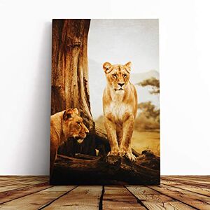 Big Box Art Lion Lioness (2) Canvas Print Gallery Wrapped 30mm Frame Wall Art 30x20 inches Ready to Hang Modern Animals Picture Living Room Bedroom Lounge Office Big Box Art Lion Lioness (2) Canvas Print Gallery Wrapped 30mm Frame Wall Art 30x20 inches Ready to Hang Modern Animals Picture Living Room Bedroom Lounge Office