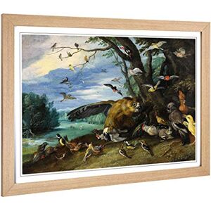 Big Box Art Framed Print of Jan Van Kessel Birds Fighting Design Wall Art Picture Home Decor for Kitchen, Living, Dining Room, Bedroom, Hallway, Office, Oak, A2 / 24.5x18 Inch / 62x45cm Big Box Art Framed Print of Jan Van Kessel Birds Fighting Design Wall Art Picture Home Decor for Kitchen, Living, Dining Room, Bedroom, Hallway, Office, Oak, A2 / 24.5x18 Inch / 62x45cm