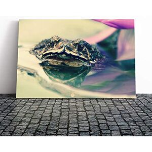 Big Box Art Water Lily Toad Canvas Print Gallery Wrapped 30mm Frame Wall Art 20x14 inches Ready to Hang Modern Animals Picture Living Room Bedroom Lounge Office Big Box Art Water Lily Toad Canvas Print Gallery Wrapped 30mm Frame Wall Art 20x14 inches Ready to Hang Modern Animals Picture Living Room Bedroom Lounge Office