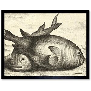 Artery8 Flamen Two Porpoises Beach Vintage Drawing Art Print Framed Poster Wall Decor 12x16 inch Artery8 Flamen Two Porpoises Beach Vintage Drawing Art Print Framed Poster Wall Decor 12x16 inch