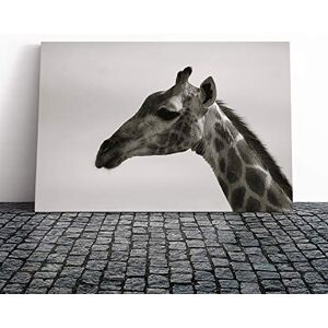 Big Box Art Giraffe Vol.5 Canvas Print Gallery Wrapped 30mm Frame Wall Art 30x20 inches Ready to Hang Modern Animals Picture Living Room Bedroom Lounge Office Big Box Art Giraffe Vol.5 Canvas Print Gallery Wrapped 30mm Frame Wall Art 30x20 inches Ready to Hang Modern Animals Picture Living Room Bedroom Lounge Office