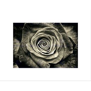 Wee Blue Coo Military Air Plane Fighter Jet Usaf F16xl F16b Falcon Wall Art Print Wee Blue Coo Military Air Plane Fighter Jet Usaf F16xl F16b Falcon Wall Art Print