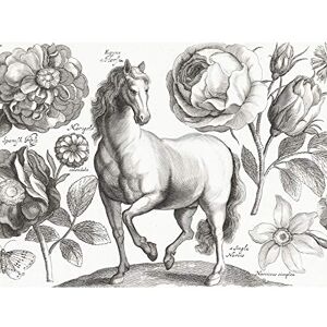 Artery8 Hollar Horse Flowers Butterfly Etching Extra Large XL Wall Art Poster Print Artery8 Hollar Horse Flowers Butterfly Etching Extra Large XL Wall Art Poster Print