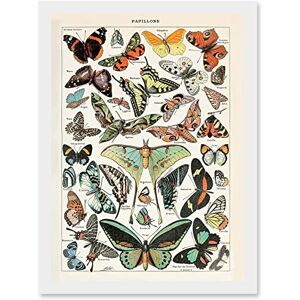 Artery8 - Millot Encyclopedia - A4 - Framed Wall Art Print Artery8 - Millot Encyclopedia - A4 - Framed Wall Art Print