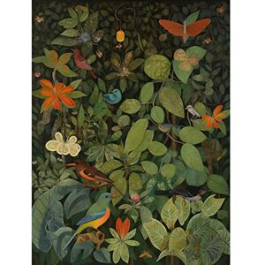 Artery8 Audubon Style Birds and Insects in Jungle Large Wall Art Poster Print Thick Paper 18X24 Inch Artery8 Audubon Style Birds and Insects in Jungle Large Wall Art Poster Print Thick Paper 18X24 Inch