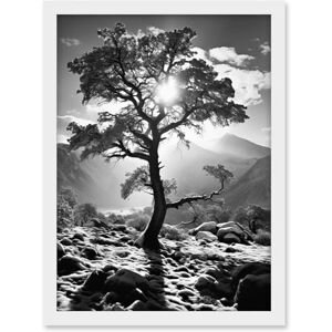 Artery8 Frozen Tree Outline in Mountain Forest Landscape Covered in Snow Black and White Photograph Winter Sunshine Artwork Framed A3 Wall Art Print Artery8 Frozen Tree Outline in Mountain Forest Landscape Covered in Snow Black and White Photograph Winter Sunshine Artwork Framed A3 Wall Art Print
