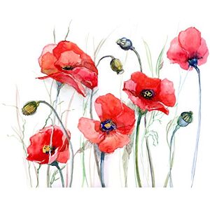 Fine Art Prints Flowers Painting Of Poppies Large Wall Art Print Canvas Premium Poster Fine Art Prints Flowers Painting Of Poppies Large Wall Art Print Canvas Premium Poster