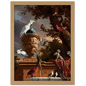 Artery8 Hondecoeter Menagerie Exotic Birds Parrots Painting Artwork Framed Wall Art Print 18X24 Inch Artery8 Hondecoeter Menagerie Exotic Birds Parrots Painting Artwork Framed Wall Art Print 18X24 Inch