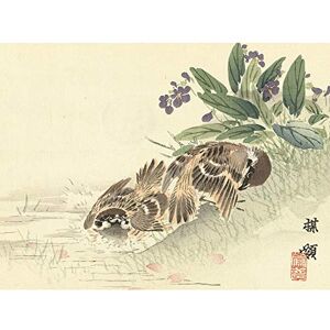 Artery8 Kono Bairei Bathing Tree Sparrow Japanese Woodblock Large Wall Art Poster Print Thick Paper 18X24 Inch Artery8 Kono Bairei Bathing Tree Sparrow Japanese Woodblock Large Wall Art Poster Print Thick Paper 18X24 Inch