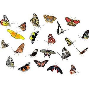 Artery8 Moths Butterflies Insects Collage Photo Unframed Wall Art Print Poster Home Decor Premium Artery8 Moths Butterflies Insects Collage Photo Unframed Wall Art Print Poster Home Decor Premium