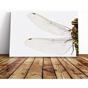 Big Box Art Dragonfly Insect (1) Canvas Print Gallery Wrapped 30mm Frame Wall Art 20x14 inches Ready to Hang Modern Animals Picture Living Room Bedroom Lounge Office Big Box Art Dragonfly Insect (1) Canvas Print Gallery Wrapped 30mm Frame Wall Art 20x14 inches Ready to Hang Modern Animals Picture Living Room Bedroom Lounge Office
