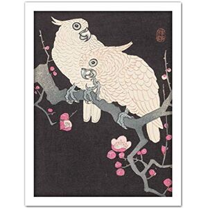 Artery8 Ohara Koson Two Cockatoo And Plum Blossom Painting Artwork Framed Wall Art Print 18X24 Inch Artery8 Ohara Koson Two Cockatoo And Plum Blossom Painting Artwork Framed Wall Art Print 18X24 Inch