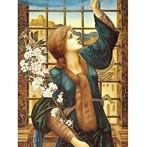 Artery8 Burne Jones Hope Woman Flowers Painting Unframed Wall Art Print Poster Home Decor Premium Artery8 Burne Jones Hope Woman Flowers Painting Unframed Wall Art Print Poster Home Decor Premium