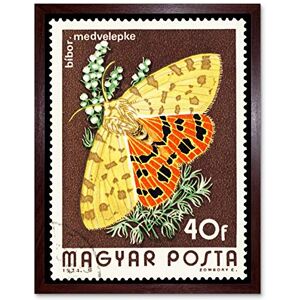 Wee Blue Coo Postage Stamp Hungary 40 Forint Crimson Tiger Moth Art Print Framed Poster Wall Decor 12X16 Inch Wee Blue Coo Postage Stamp Hungary 40 Forint Crimson Tiger Moth Art Print Framed Poster Wall Decor 12X16 Inch