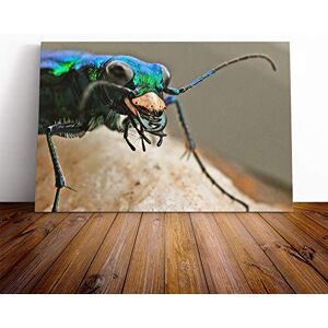 Big Box Art Tiger Beetle Insect Canvas Print Gallery Wrapped 30mm Frame Wall Art 20x14 inches Ready to Hang Modern Animals Picture Living Room Bedroom Lounge Office Big Box Art Tiger Beetle Insect Canvas Print Gallery Wrapped 30mm Frame Wall Art 20x14 inches Ready to Hang Modern Animals Picture Living Room Bedroom Lounge Office