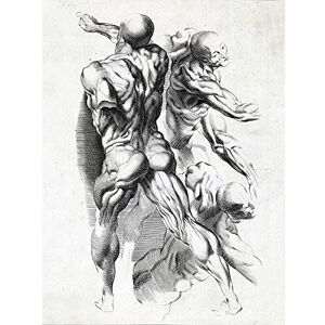 Artery8 Anatomy Study Muscles Man Back Legs Arms Drawing Unframed Wall Art Print Poster Home Decor Premium Artery8 Anatomy Study Muscles Man Back Legs Arms Drawing Unframed Wall Art Print Poster Home Decor Premium