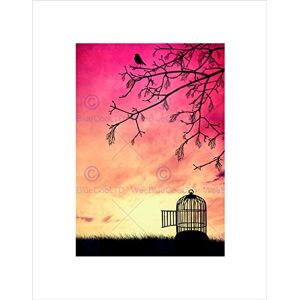 Wee Blue Coo PAINTING DRAWING BIRD CAGE FREE TREE BRANCH SUNSET FRAMED ART PRINT B12X13193 Wee Blue Coo PAINTING DRAWING BIRD CAGE FREE TREE BRANCH SUNSET FRAMED ART PRINT B12X13193