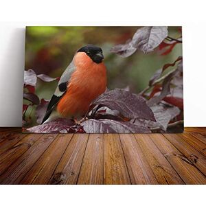 Big Box Art Bullfinch Bird Canvas Print Gallery Wrapped 30mm Frame Wall Art 24x16 inches Ready to Hang Modern Animals Picture Living Room Bedroom Lounge Office Big Box Art Bullfinch Bird Canvas Print Gallery Wrapped 30mm Frame Wall Art 24x16 inches Ready to Hang Modern Animals Picture Living Room Bedroom Lounge Office