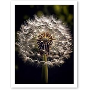 Artery8 Dandelion Flower Pappus Macro Photograph Dark Close Up Detail Artwork Framed Wall Art Print 18X24 Inch Artery8 Dandelion Flower Pappus Macro Photograph Dark Close Up Detail Artwork Framed Wall Art Print 18X24 Inch