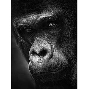 Artery8 Warby Western Lowland Gorilla Face Close Up Photo Art Print Canvas Premium Wall Decor Poster Mural Artery8 Warby Western Lowland Gorilla Face Close Up Photo Art Print Canvas Premium Wall Decor Poster Mural