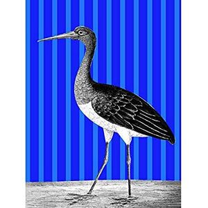 Wee Blue Coo Tall Birds On Stripes Black Stork Blue Art Print Canvas Premium Wall Decor Poster Mural Wee Blue Coo Tall Birds On Stripes Black Stork Blue Art Print Canvas Premium Wall Decor Poster Mural