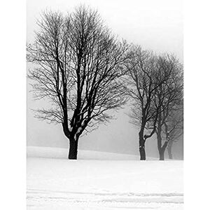 Artery8 Stemberovi Trees Winter Mist Black White Photo Art Print Canvas Premium Wall Decor Poster Mural Artery8 Stemberovi Trees Winter Mist Black White Photo Art Print Canvas Premium Wall Decor Poster Mural