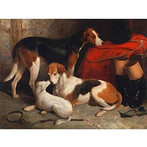 Wee Blue Coo Painting Animals Foxhounds Terrier Hunt Hunting Dogs Barraud Art Print Poster Wall Decor 12X16 Inch Wee Blue Coo Painting Animals Foxhounds Terrier Hunt Hunting Dogs Barraud Art Print Poster Wall Decor 12X16 Inch