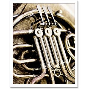 Wee Blue Coo Music Photography Instrument Brass French Horn Tubes Pipes Art Print Framed Poster Wall Decor 12X16 Inch Wee Blue Coo Music Photography Instrument Brass French Horn Tubes Pipes Art Print Framed Poster Wall Decor 12X16 Inch