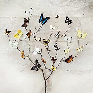 Pyramid Ian Winstanley "Tree of Butterflies" Canvas Print, Cotton, Multi-Colour, 3.20 x 40.00 x 40.00 cm Pyramid Ian Winstanley "Tree of Butterflies" Canvas Print, Cotton, Multi-Colour, 3.20 x 40.00 x 40.00 cm