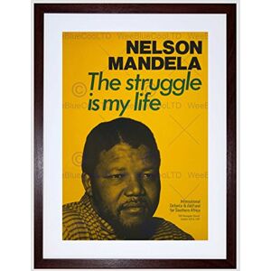 Wee Blue Coo Civil Rights Apartheid Mandela South Africa Framed Wall Art Print Wee Blue Coo Civil Rights Apartheid Mandela South Africa Framed Wall Art Print
