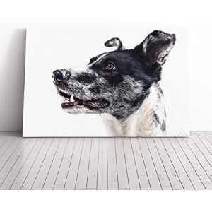 Big Box Art Spotted Dog Canvas Print Gallery Wrapped 30mm Frame Wall Art 20x14 inches Ready to Hang Modern Animals Picture Living Room Bedroom Lounge Office Big Box Art Spotted Dog Canvas Print Gallery Wrapped 30mm Frame Wall Art 20x14 inches Ready to Hang Modern Animals Picture Living Room Bedroom Lounge Office