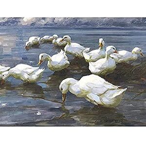 Fine Art Prints Koester Ducks Lake Birds Nature Painting Unframed Wall Art Print Poster Home Decor Premium Fine Art Prints Koester Ducks Lake Birds Nature Painting Unframed Wall Art Print Poster Home Decor Premium