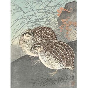Artery8 Ohara Koson Two Quail Full Moon Japanese Painting Large Wall Art Poster Print Thick Paper 18X24 Inch Artery8 Ohara Koson Two Quail Full Moon Japanese Painting Large Wall Art Poster Print Thick Paper 18X24 Inch