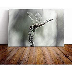 Big Box Art Dragonfly Insect (4) Canvas Print Gallery Wrapped 30mm Frame Wall Art 24x16 inches Ready to Hang Modern Animals Picture Living Room Bedroom Lounge Office Big Box Art Dragonfly Insect (4) Canvas Print Gallery Wrapped 30mm Frame Wall Art 24x16 inches Ready to Hang Modern Animals Picture Living Room Bedroom Lounge Office