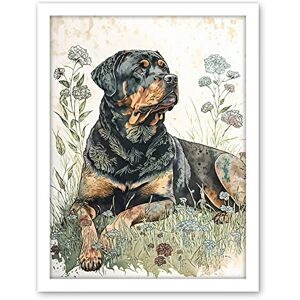 Artery8 Rottweiler Dog Lying in Wildflowers Bright Watercolour Illustration Artwork Framed Wall Art Print 18X24 Inch Artery8 Rottweiler Dog Lying in Wildflowers Bright Watercolour Illustration Artwork Framed Wall Art Print 18X24 Inch